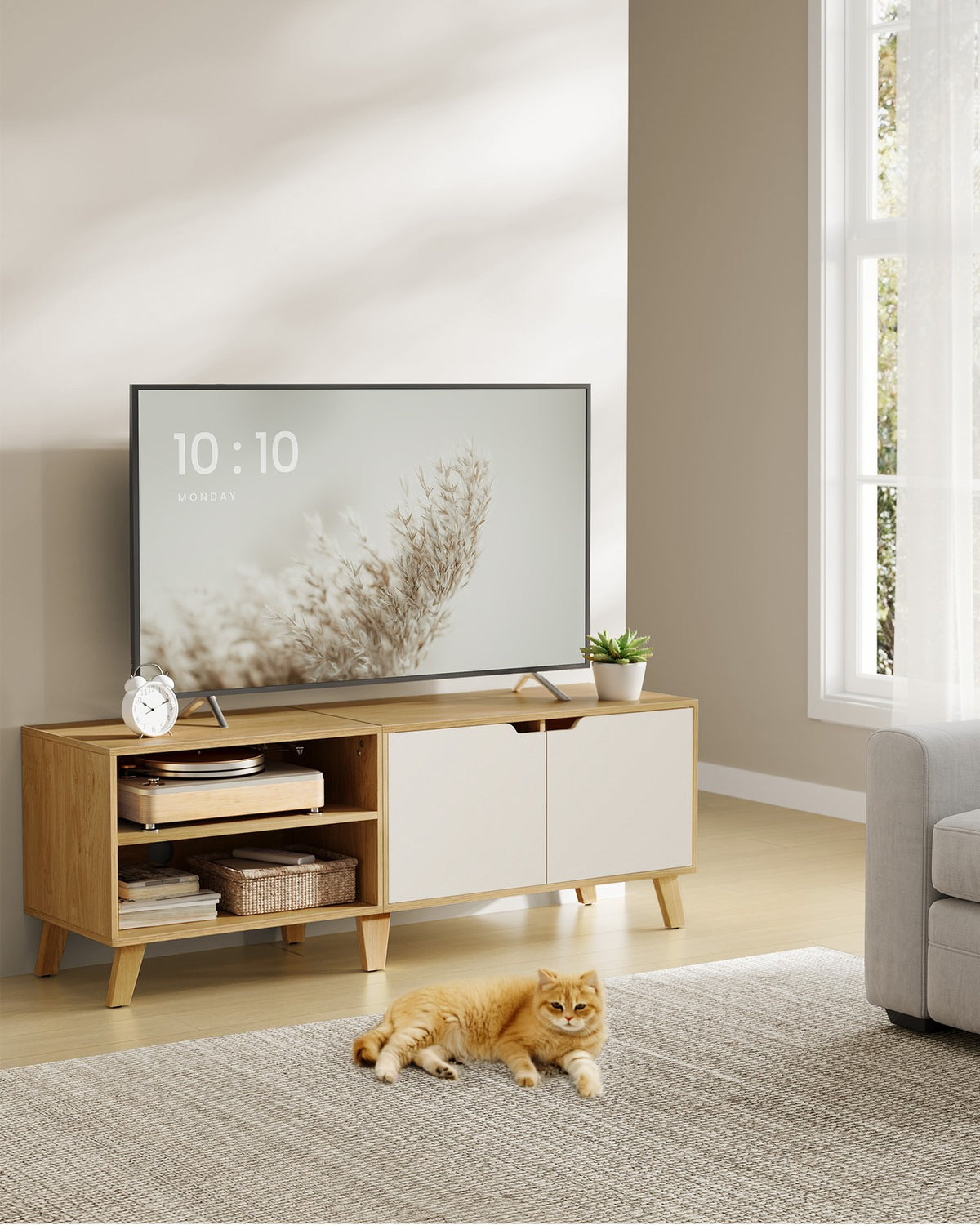 TV-Möbel – 1 oder 2 Türen – 120 oder 140 cm Breit – Skandinavisch – mit Offenem Fach
