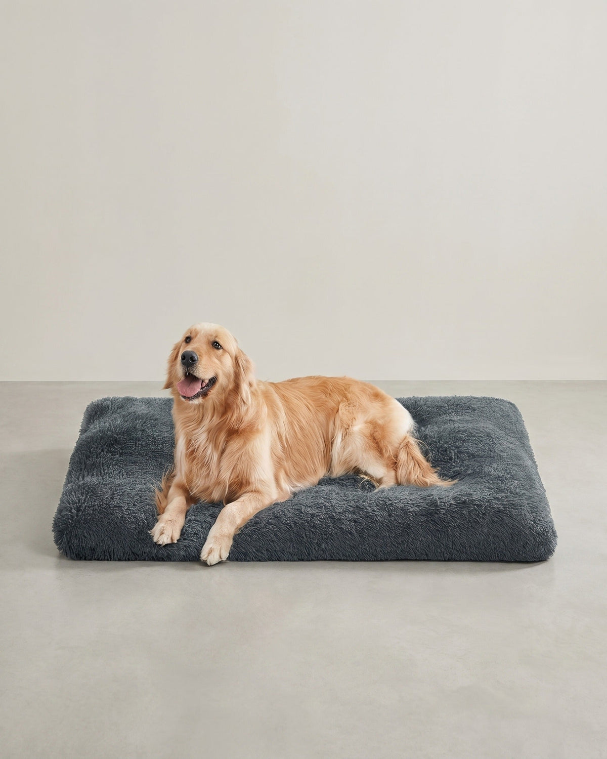 Weiches und vielseitiges Hundekissen – 10 cm dick