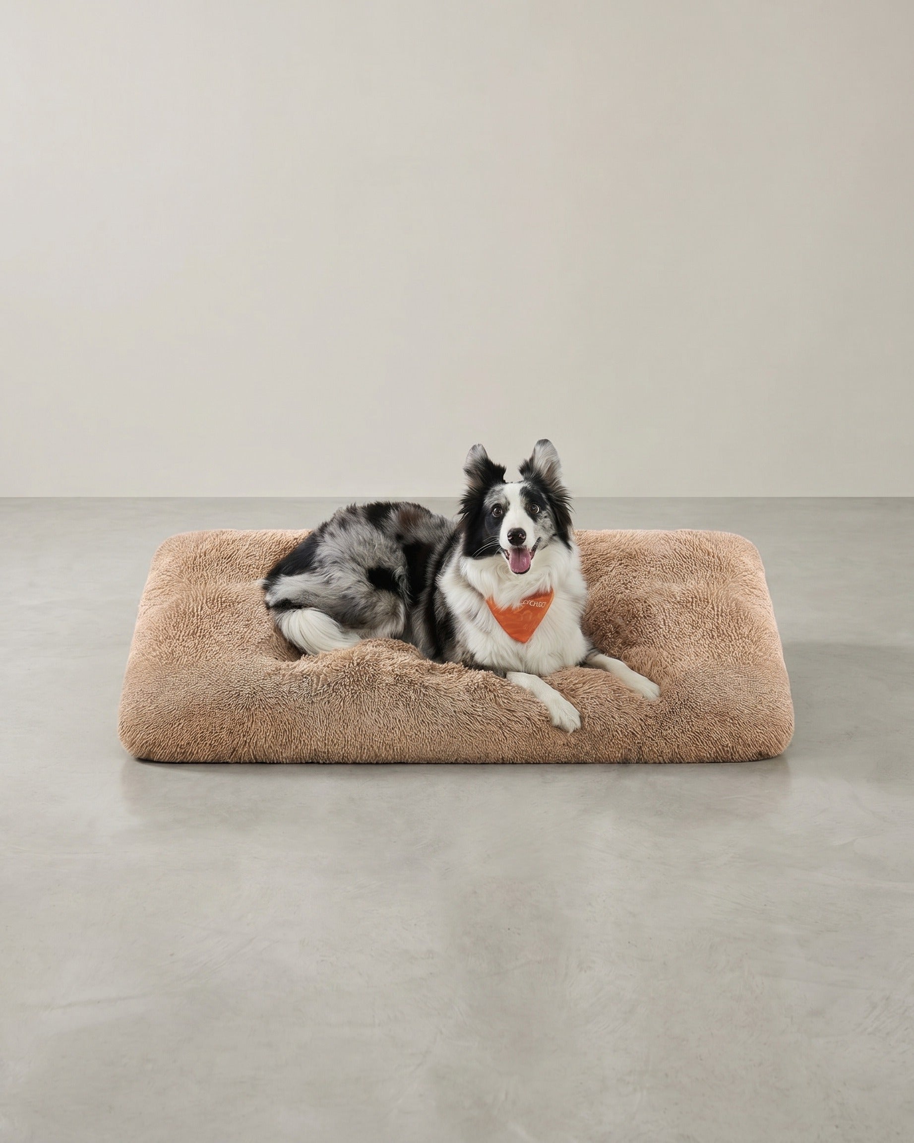 Weiches und vielseitiges Hundekissen – 10 cm dick