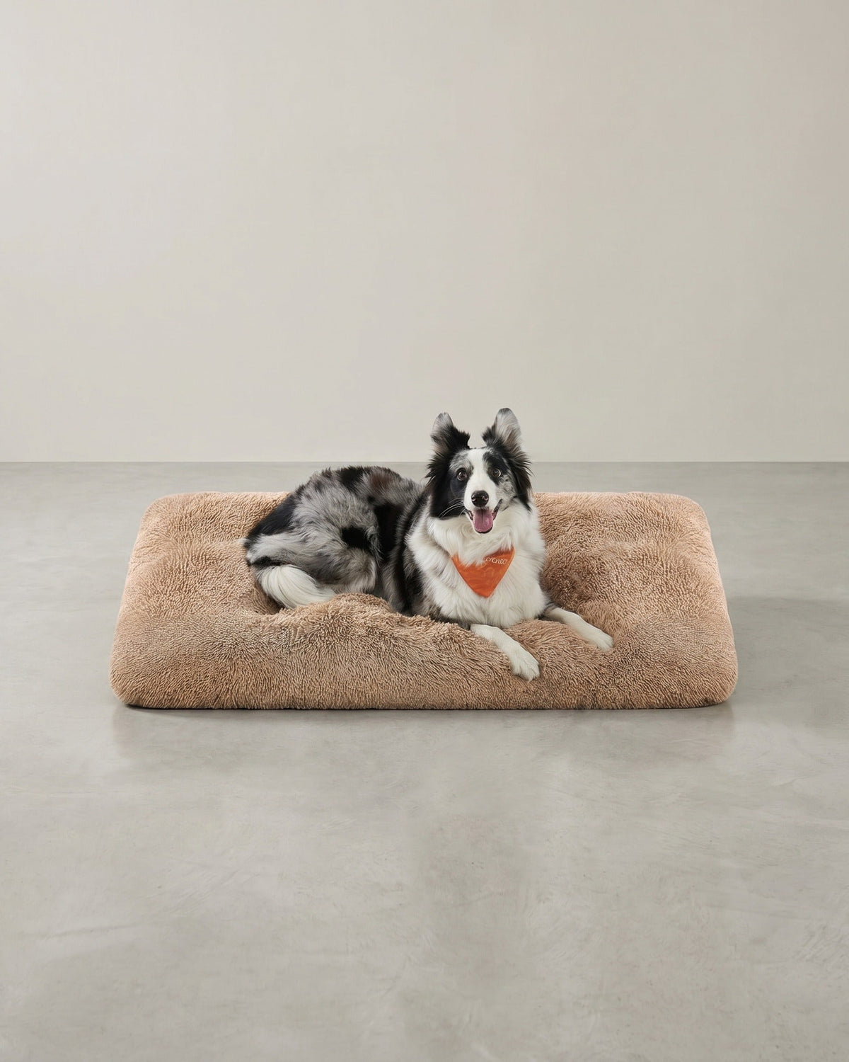 Weiches und vielseitiges Hundekissen – 10 cm dick