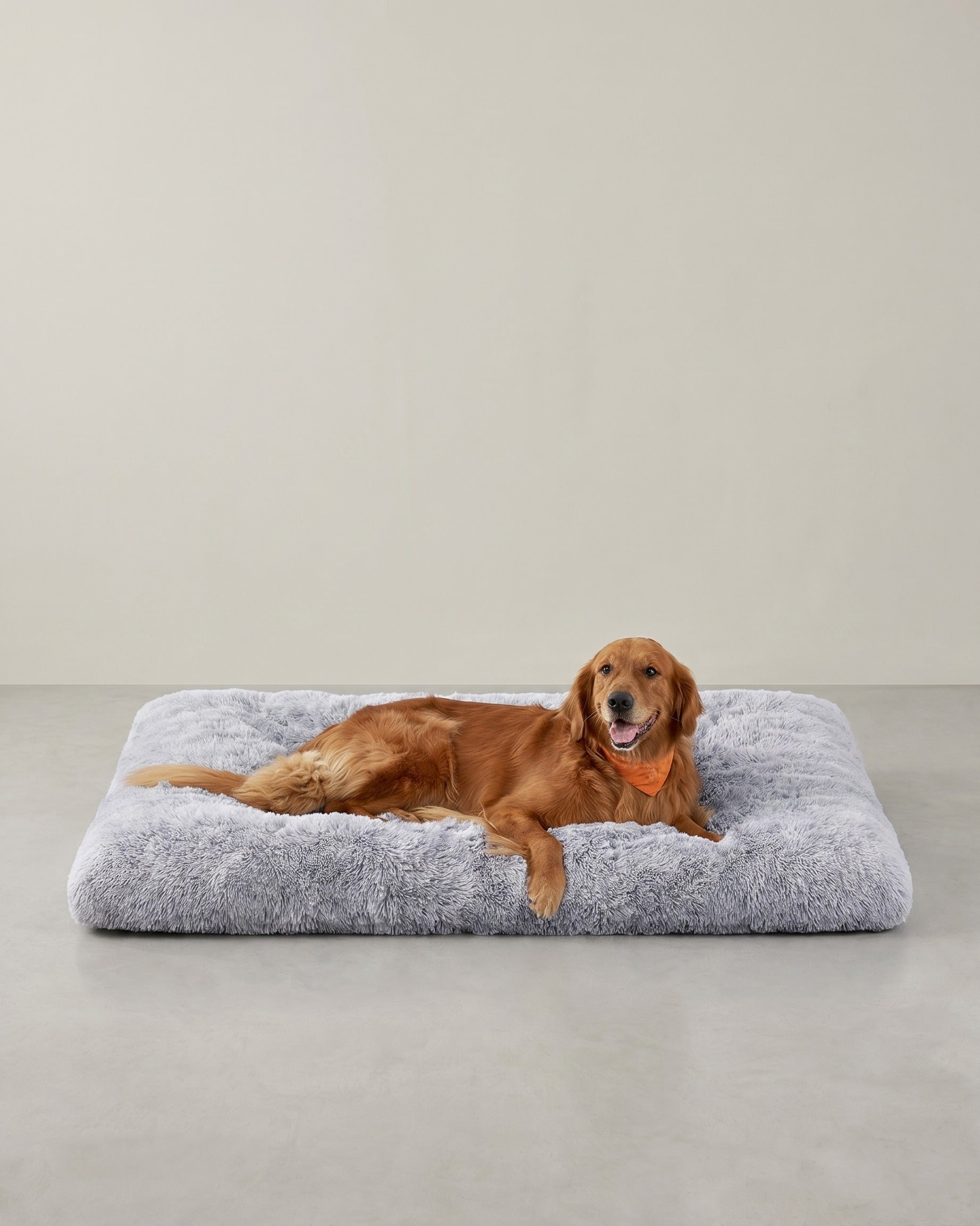 Weiches und vielseitiges Hundekissen – 10 cm dick